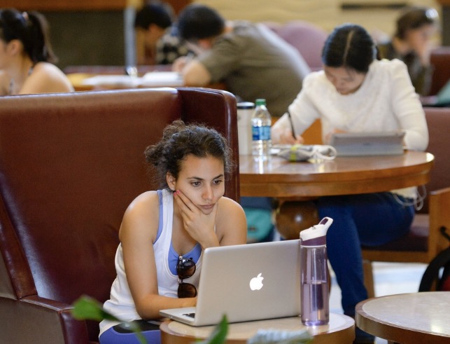 Girl Studying on Laptop
